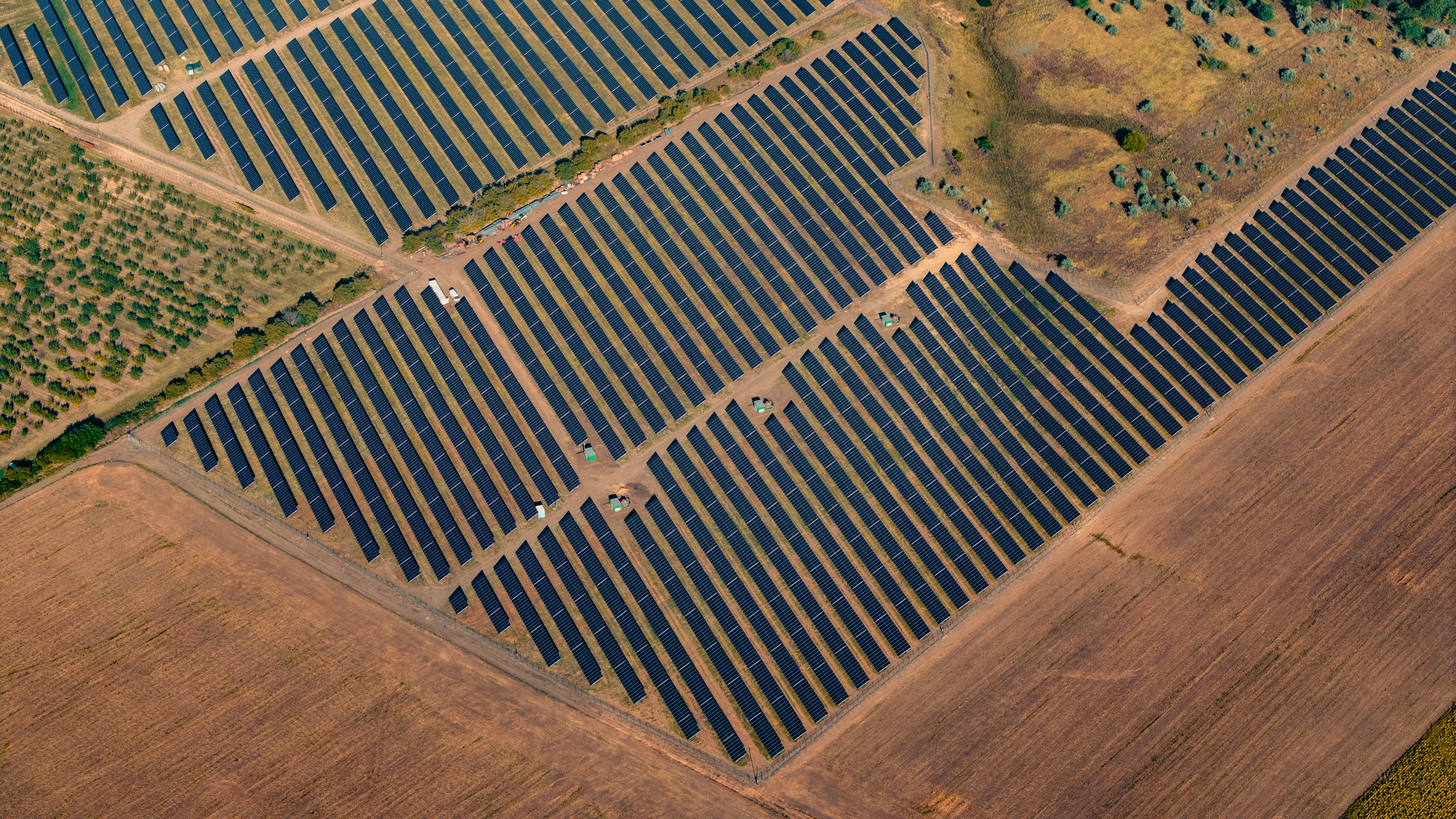 Rows of commercial solar panels